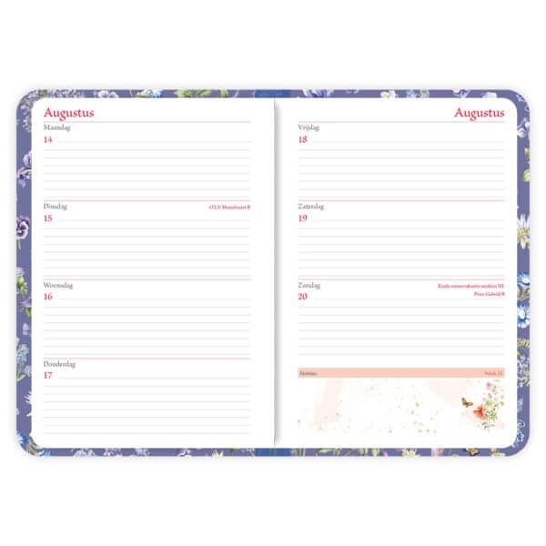 Janneke Brinkman Weekagenda Blauwe Weelde Inhoud 8716467674464