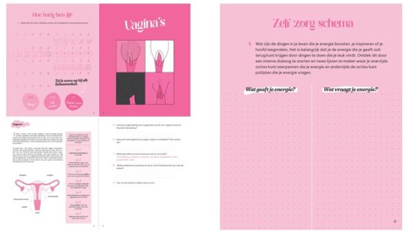 Het Zelfreflectieboek Inhoud 2 9789401484411