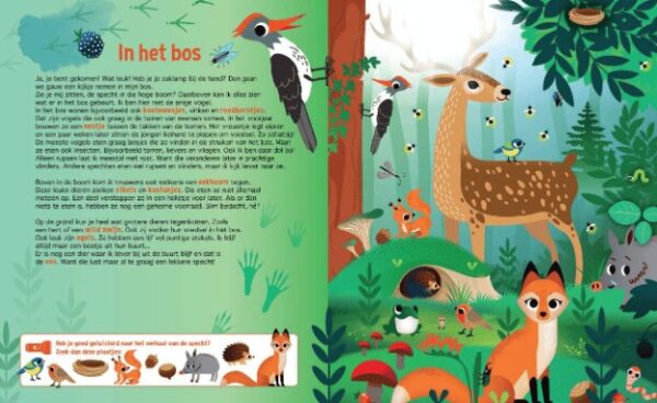 Lantaarn Speuren Inde Dierenwereld Inhoud 2 9789463545686