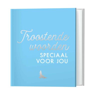 Lantaarn Troostende Woorden Speciaal Voor Jou 9789463547857