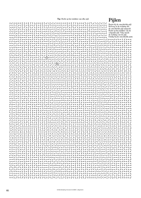 Dot To Dot Puzzelboek 1+2 Super Challenge 8