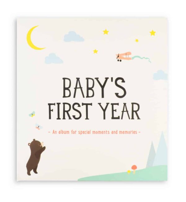 Milestone Baby's First Year Voorkant