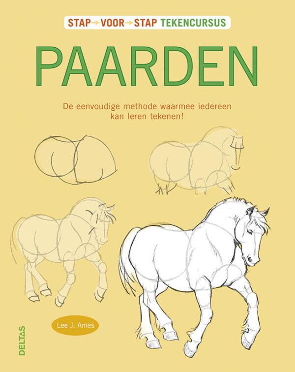 13161 Tekencursus Paarden.indd