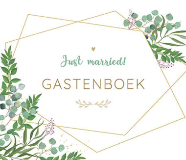 19147p Het Huwelijksgastenboek Cover Dutch.indd