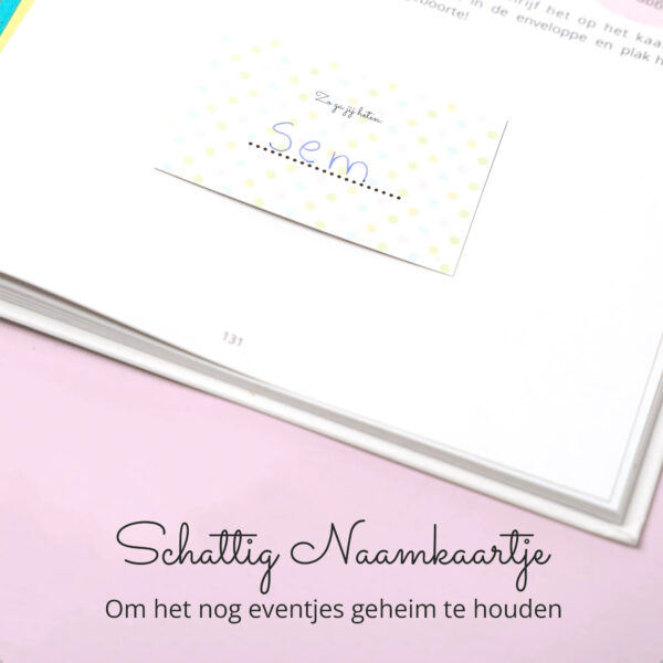 Beppie Zwangerschapsdagboek 3