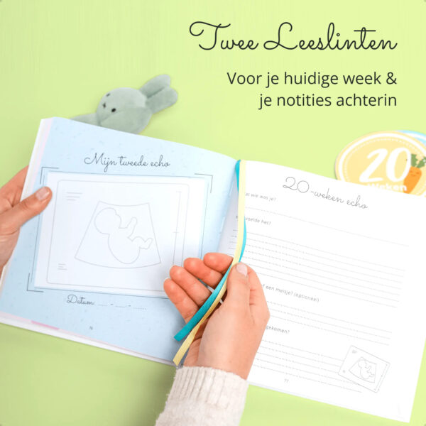 Beppie Zwangerschapsdagboek 8