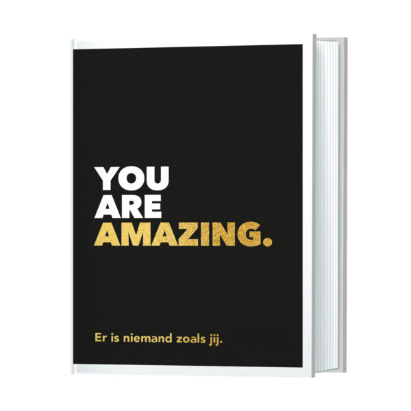 Quoteboek You Are Amazing 9789463548410