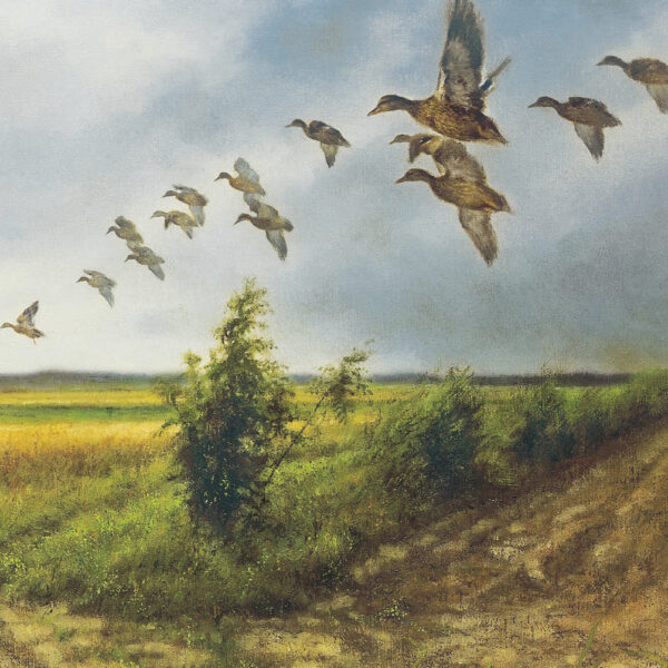 Kaartenmapje - Rien Poortvliet - Natuur Vogels - Afbeelding 5