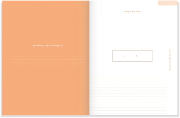A-Journal - Zwangerschapdagboek - Nine Months Journal - Afbeelding 4