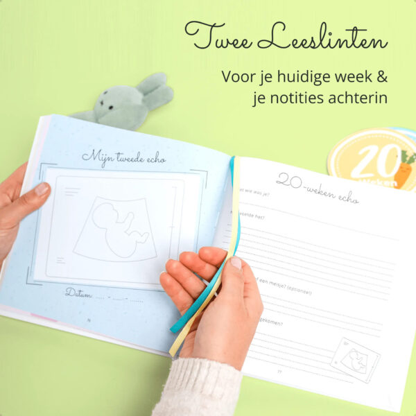 Beppie Mijn Zwangerschapsdagboek - Afbeelding 8