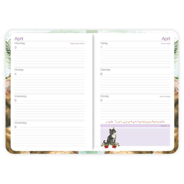 Franciens Katten Weekagenda 2023 - Boskat - Afbeelding 2