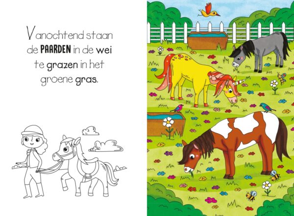 Magisch waterkleurboek Paarden en unicorns - Afbeelding 6