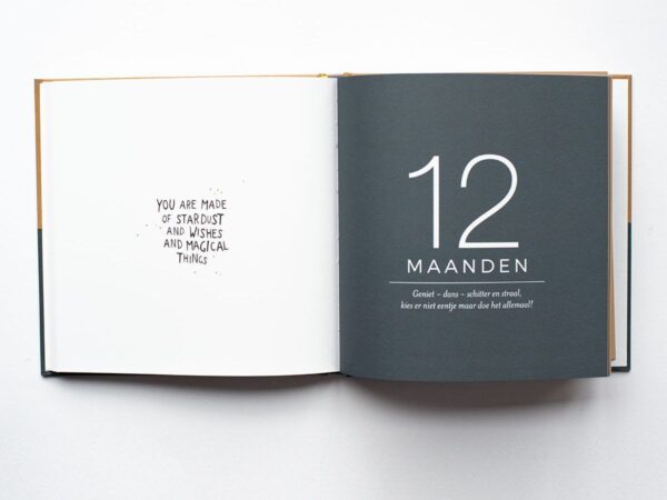 Leukigheidjes Eerste jaar babyboek - Jongen - Afbeelding 7