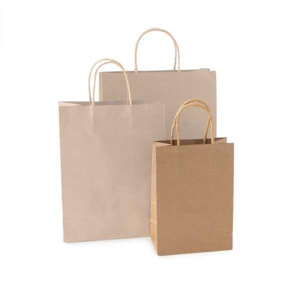Papieren tasjes - Craft - Small - 100 stuks - Afbeelding 2