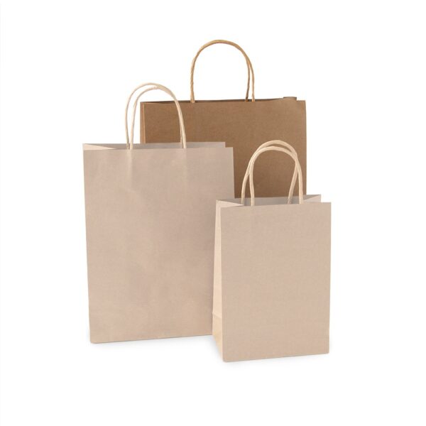 Papieren tasjes - Craft - Large - 100 stuks - Afbeelding 2