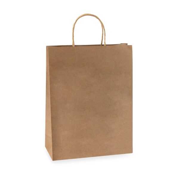 Papieren tasjes - Craft - Large - 100 stuks
