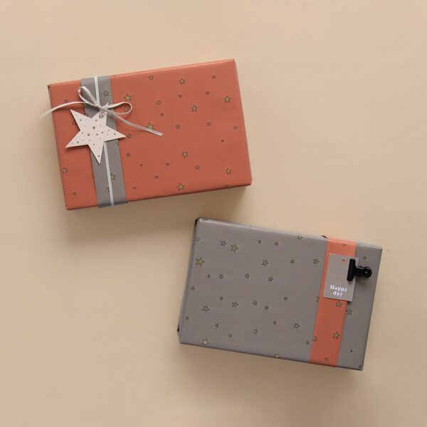 Cadeaulabels Duo - Moon / Star Pastel - 50 stuks - Afbeelding 2