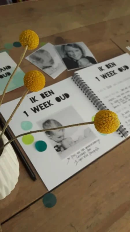 Studio Ins & Outs Babyboek 'Mijn eerste jaar' - Groen - Afbeelding 4