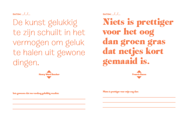 Dagboek Doe elke dag iets waar je blij van wordt - Afbeelding 9