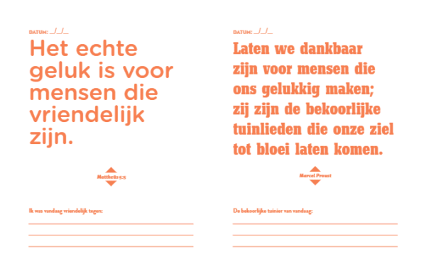 Dagboek Doe elke dag iets waar je blij van wordt - Afbeelding 12