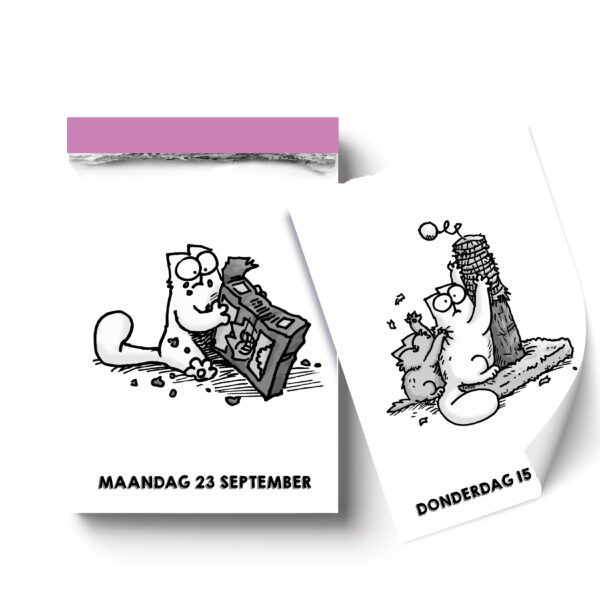 Ink 9789464325997 Sk2024 Simon's Cat Inside