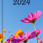 Pv.1.30189593 (1)
