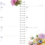 Pv.2.30189580