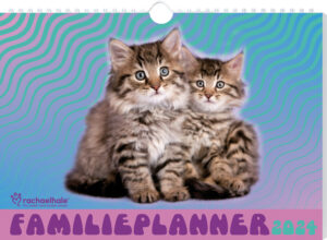 Vp 9789464325645 Fp2024 Rachaelhale Cats Cover