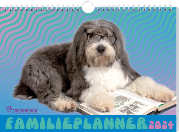 Vp 9789464325652 Fp2024 Rachaelhale Dogs Cover