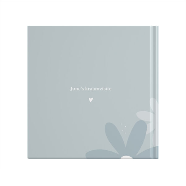 Ontwerp Je Eigen Kraambezoekboek Blue Daisies (2)
