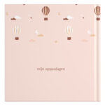 Ontwerp Je Eigen Oppasboek Baby Balloons (2)