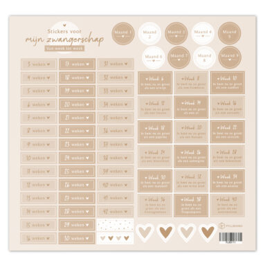 Fyllbooks Stickervel Mijn Zwangerschap Set 2