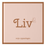 Ontwerp Je Eigen Oppasboek Butterfly Beauty (3)