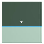 Ontwerp Je Eigen Oppasboek Color Blocking Green (2)