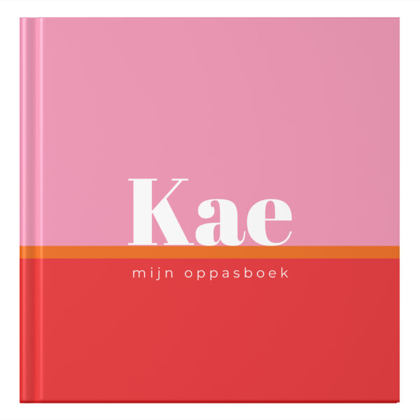 Ontwerp Je Eigen Oppasboek Color Blocking Pink (3)