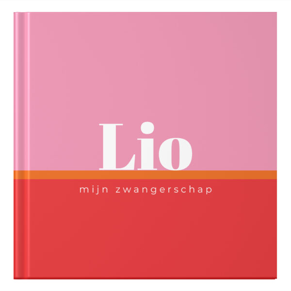 Ontwerp Je Eigen Zwangerschapsdagboek Color Blocking Pink (1)