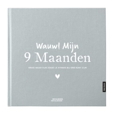 Pink Peach Mijn 9 Maanden Dagboek Linnen Sky (1)