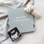 Pink Peach Mijn 9 Maanden Dagboek Linnen Sky (3)