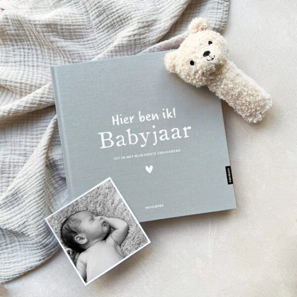 Pink Peach Mijn Babyjaar Invulboek Linnen Sky (3)