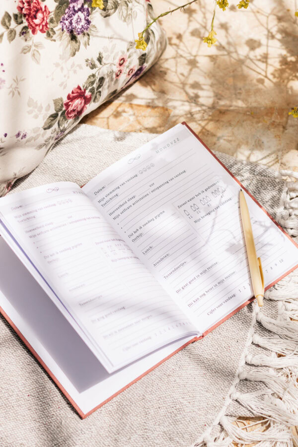Fyllbooks Dagboek Voor Selfcare – Linnen Roze Met Goudfolie (5)