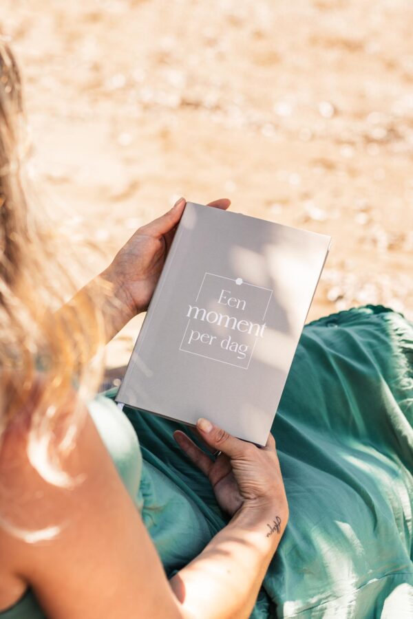 Fyllbooks Een Moment Per Dag Dagboek Taupe (1)