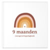 Fyllbooks Mijn 9 Maanden Dagboek Regenboog (1)