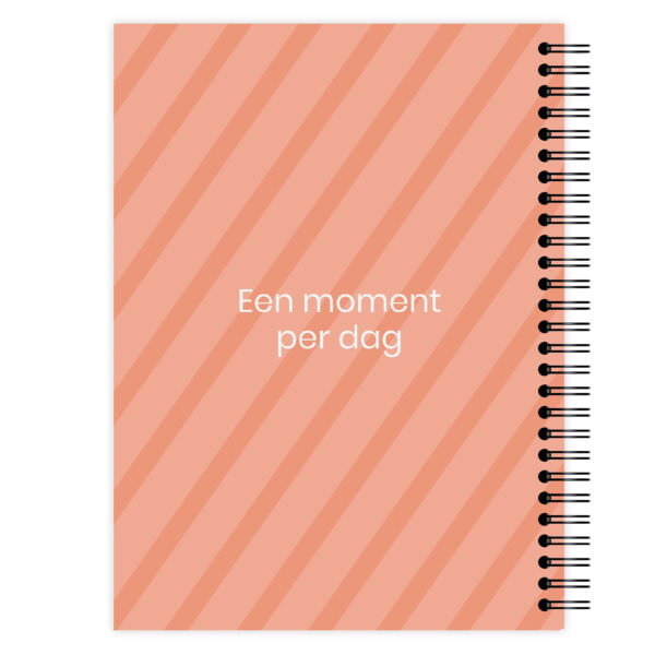 Ontwerp Je Eigen Een Moment Per Dag Dagboek Fancy Photo (2)