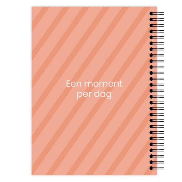 Ontwerp Je Eigen Een Moment Per Dag Dagboek Fancy Photo (2)