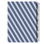Jaaragenda Blue Stripes Achterkant