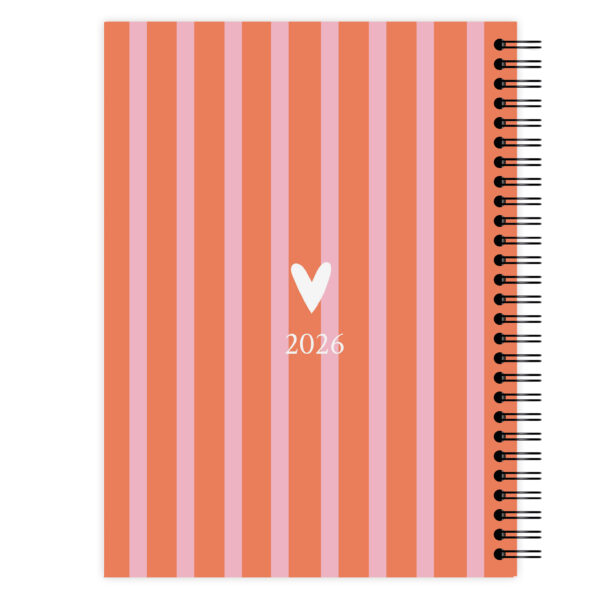 Jaaragenda Happy Stripes Achterkant