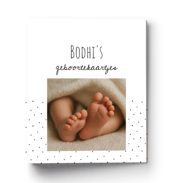 Mockup Multomap Baby Dots